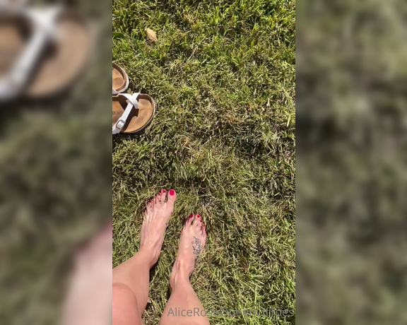 Alice Rose aka alicerosequeenoftoes - 10-07-2022 OnlyFans Video - Too bad I cant rub my feet all over you like I am rubbing them all