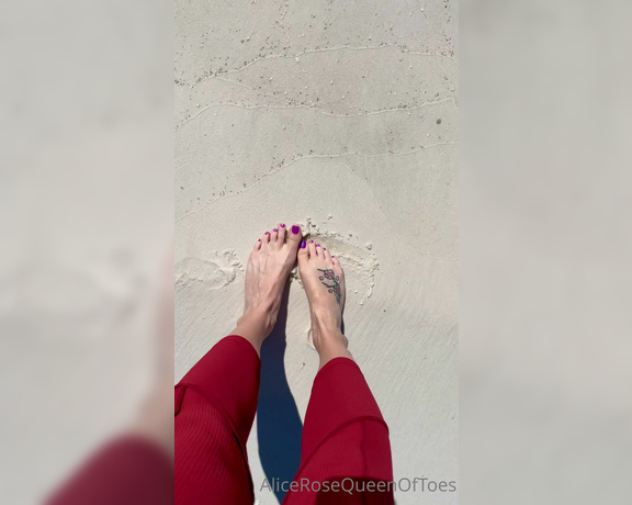 Alice Rose aka alicerosequeenoftoes - 10-21-2022 OnlyFans Video - Join me for a walk on the beach, and then you can help me get all