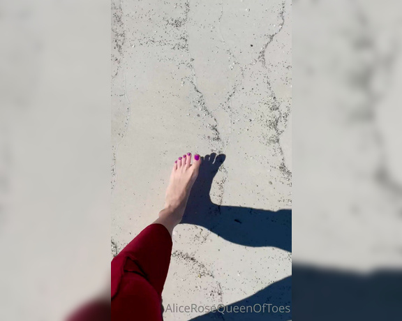 Alice Rose aka alicerosequeenoftoes - 10-21-2022 OnlyFans Video - Join me for a walk on the beach, and then you can help me get all