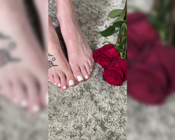 Alice Rose aka alicerosequeenoftoes - 02-21-2023 OnlyFans Video - Imagine me teasing you with my toes  Oh wait, I just did