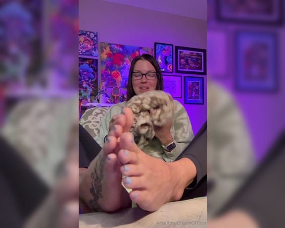 Alice Rose aka alicerosequeenoftoes - 12-21-2023 OnlyFans Video - I know you like my chatting videos, or maybe you just like seeing my toes