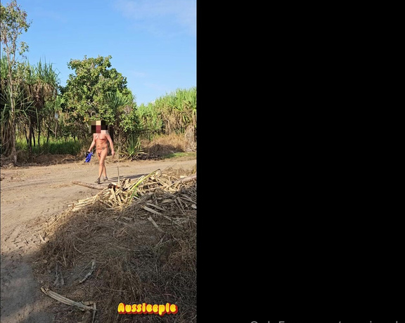 Aussiecple aka aussiecple - 09-26-2024 OnlyFans Video - The things you see when out walking the dogs