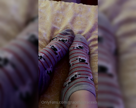 GracefulgraceXO aka Gracefulgracexo OnlyFans - Mani pedi reveal (yes these are cow socks)