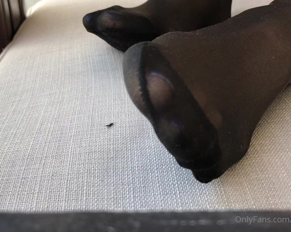 Lady_Katarzyna aka lady_katarzyna - 02-24-2021 OnlyFans Video - Black nylon tights