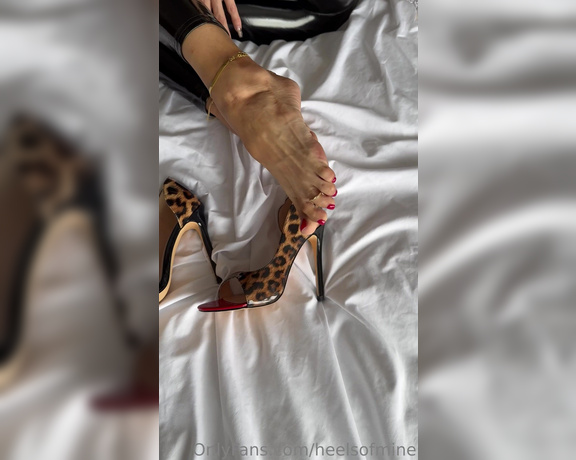 Heels of mine aka heelsofmine - 07-28-2023 OnlyFans Video - My leopard print heelswould you to take them off