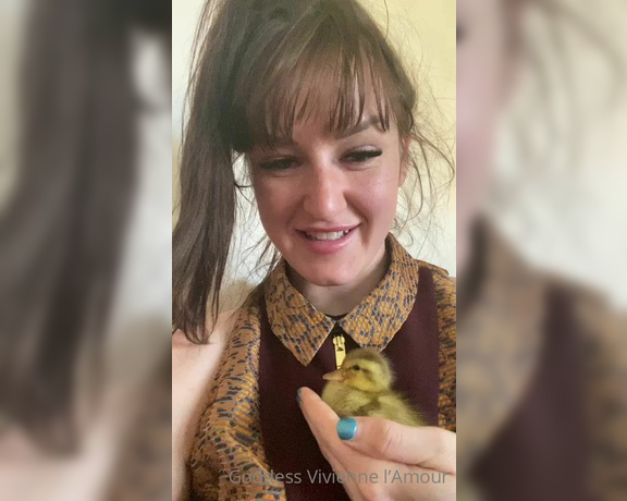 Vivienne L'Amour aka Vlproductionsuk OnlyFans - Duckling update 4