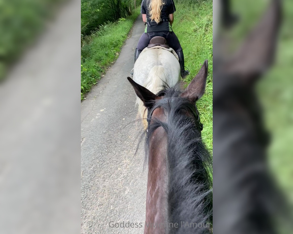 Vivienne L'Amour aka Vlproductionsuk OnlyFans - Real Equestrian Mistress  I had a HUGE ex hunting horse on Friday, he was amazing! I loved his hu 7