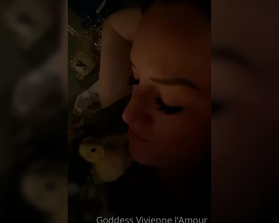 Vivienne L'Amour aka Vlproductionsuk OnlyFans - The duck bulletin 2