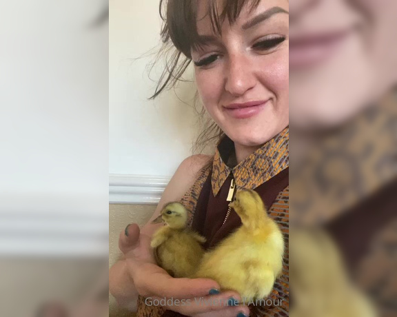 Vivienne L'Amour aka Vlproductionsuk OnlyFans - Duckling update 6