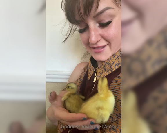 Vivienne L'Amour aka Vlproductionsuk OnlyFans - Duckling update 6