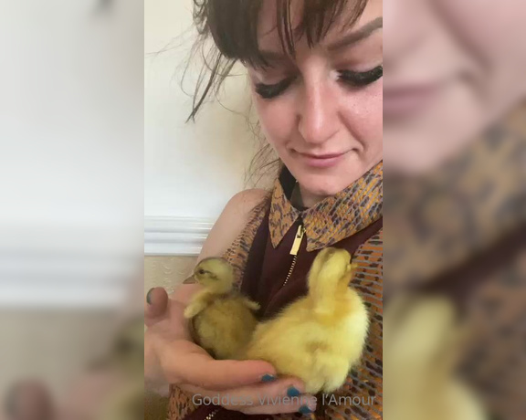 Vivienne L'Amour aka Vlproductionsuk OnlyFans - Duckling update 6