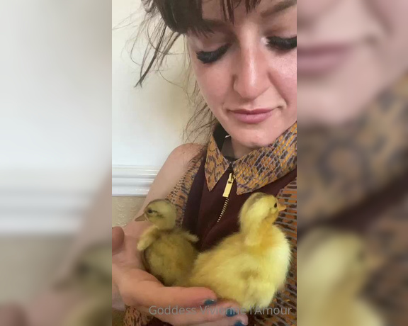 Vivienne L'Amour aka Vlproductionsuk OnlyFans - Duckling update 6