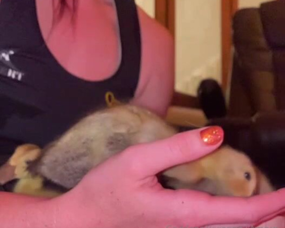 Vivienne L'Amour aka Vlproductionsuk OnlyFans - Duck baby updates They’re getting big! 1