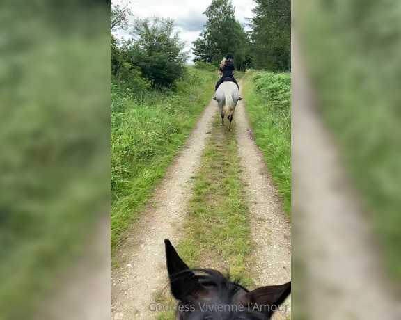 Vivienne L'Amour aka Vlproductionsuk OnlyFans - Real Equestrian Mistress  I had a HUGE ex hunting horse on Friday, he was amazing! I loved his h 10