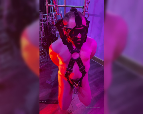 Vivienne L'Amour aka Vlproductionsuk OnlyFans - Swinging around in the Fetters suspension sling You next