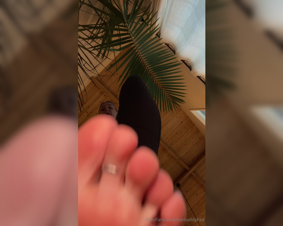 Goddess Kaylee aka xomaddykxo - 11-05-2024 OnlyFans Video - pov your private instructor puts you in your place, beneath her soles of course