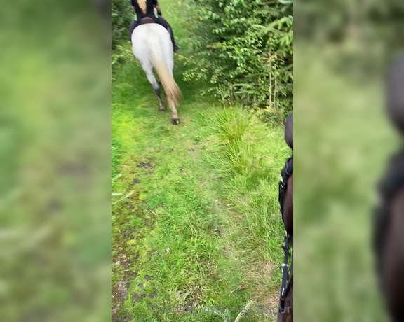 Vivienne L'Amour aka Vlproductionsuk OnlyFans - Real Equestrian Mistress  I had a HUGE ex hunting horse on Friday, he was amazing! I loved his hu 3