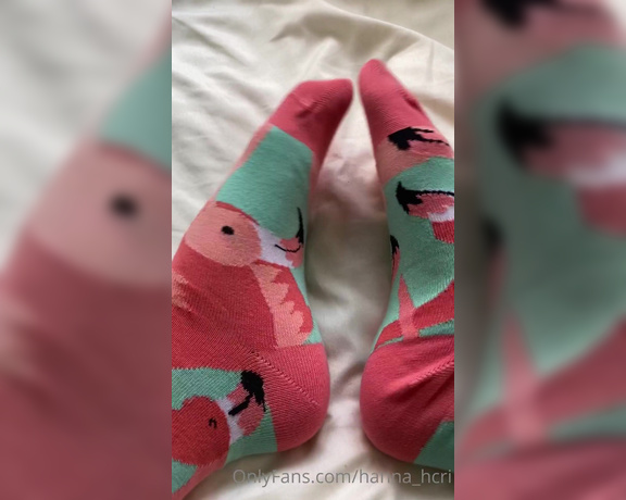 Hannah Robins aka Hanna_hcri OnlyFans - Wiggling toes wearing socks, and ofc a sock removal at the end