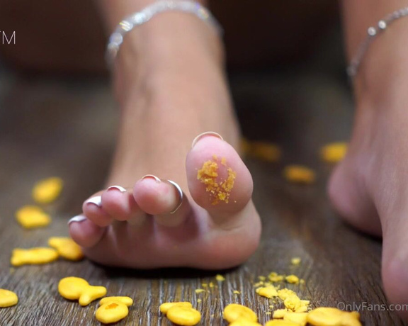 Eye Candy Toes aka Eyecandytoes Footjob OnlyFans - I made a little mess smashing these gold fish Do I have any crushing fans on here Comment Yes or N