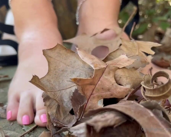 Eye Candy Toes aka Eyecandytoes Footjob OnlyFans - Leaf Crunching and ASMR with my pretty feet