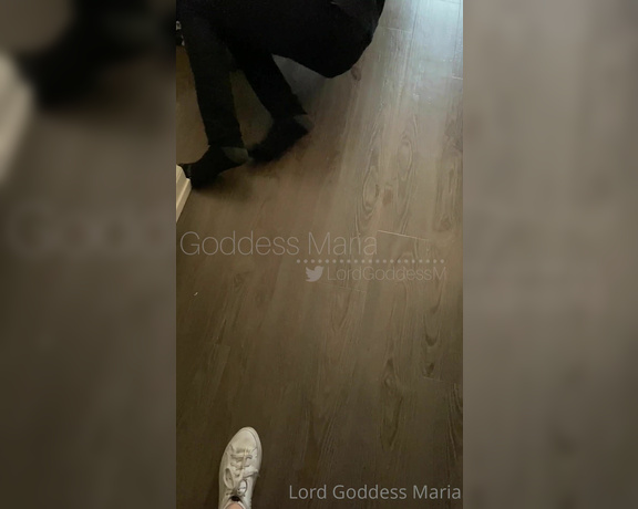 Lord Goddess Maria aka Lordmaria OnlyFans - I love that Goddess Jenny trains her beta like a dog Betas are not humans At worse, theyre inanim