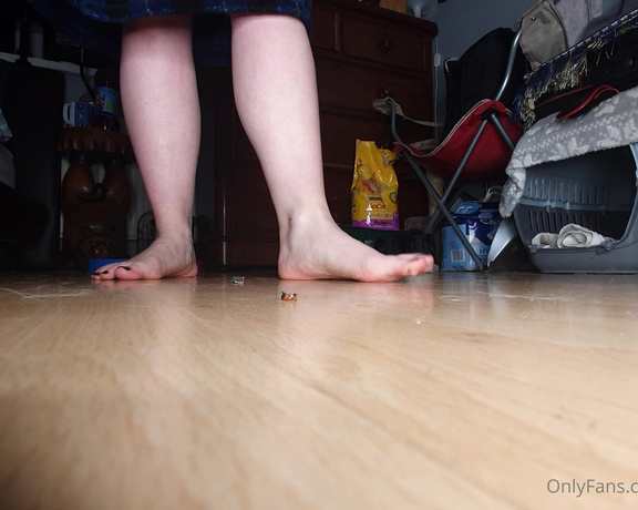 Miss Roxy xx aka Roxysfeetxx OnlyFans - Sometimes its hard to notice the tiny people as Im going about my day oops