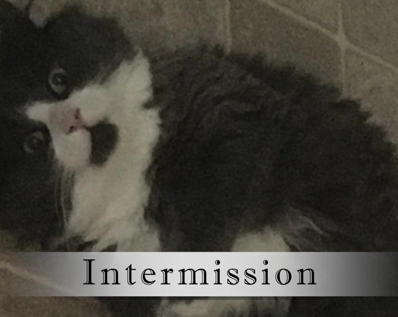 Miss Chaiyles - The Fertility Trials