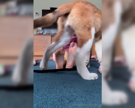 Nina aka Fityoginina OnlyFans - It’s Maple’s fault this video isn’t longer