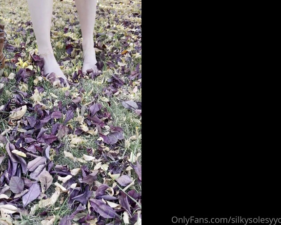 SilkySolesYYC aka Silkysolesyyc OnlyFans - Happy Friday! When your nails match the fallen leaves you just have to take off your shoes and make