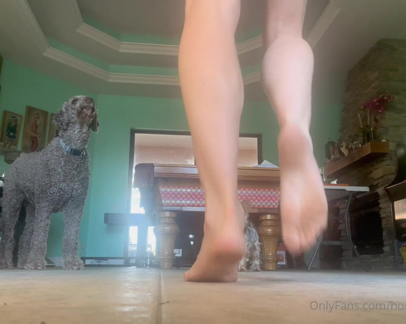 Honey Crest aka Honeysperfectfeet OnlyFans - I hope y’all are as enthralled with my dirty foot dance as my dogs were this morning