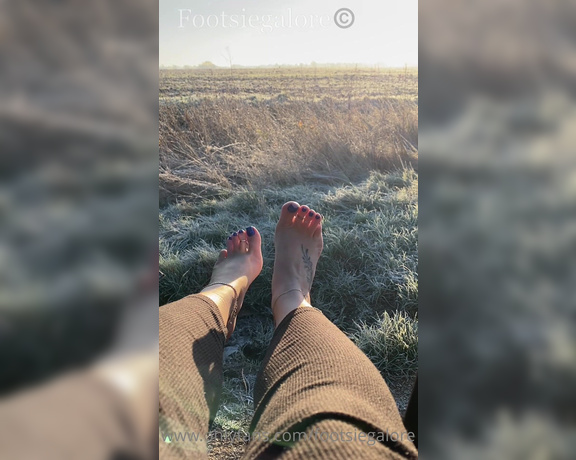 Footsiegalore aka Footsiegalore OnlyFans - It was so beautiful this morning I had to stop and take in the view, so frosty but beautiful