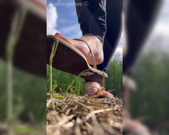 Footsiegalore aka Footsiegalore OnlyFans - I’m such a country girl at heart This field of blue flowers made me pull over and just go and tak