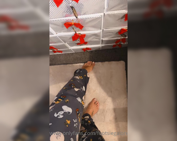 Footsiegalore aka Footsiegalore OnlyFans - Day 15 teaser