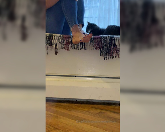 Vixen Arches aka Vixenarches OnlyFans - Little video by the window Guest starring  my cat )