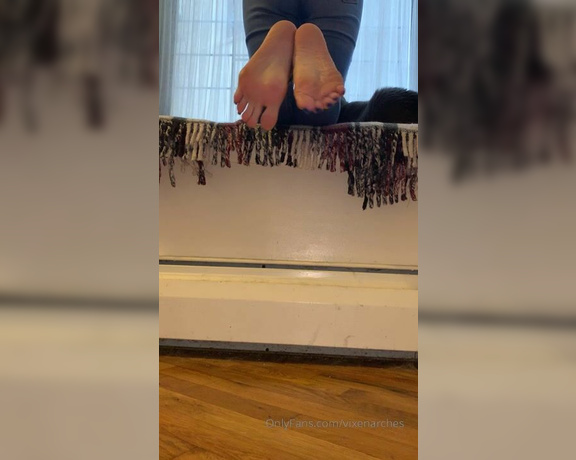 Vixen Arches aka Vixenarches OnlyFans - Little video by the window Guest starring  my cat )