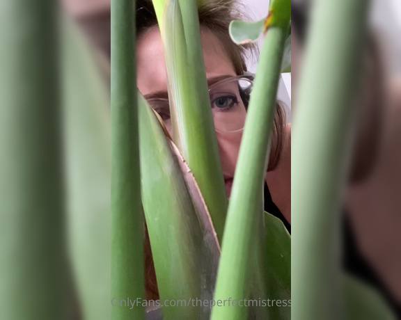 ThePerfectMistress aka Theperfectmistress OnlyFans - FULL Giantess Vore video! I find you hiding in my plants, I take you out, place you on the ground