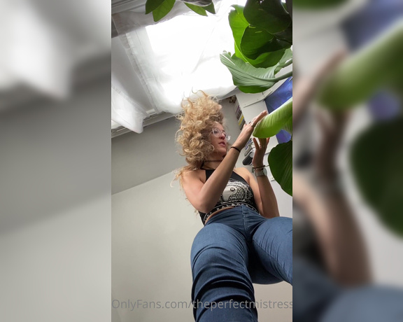 ThePerfectMistress aka Theperfectmistress OnlyFans - FULL Giantess Vore video! I find you hiding in my plants, I take you out, place you on the ground