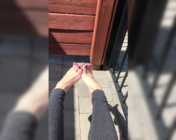 Beautyandherfeetz aka Beautyandherfeetz OnlyFans - And a little clip of these purple beauties! I can’t help but also look at the shadows my feet