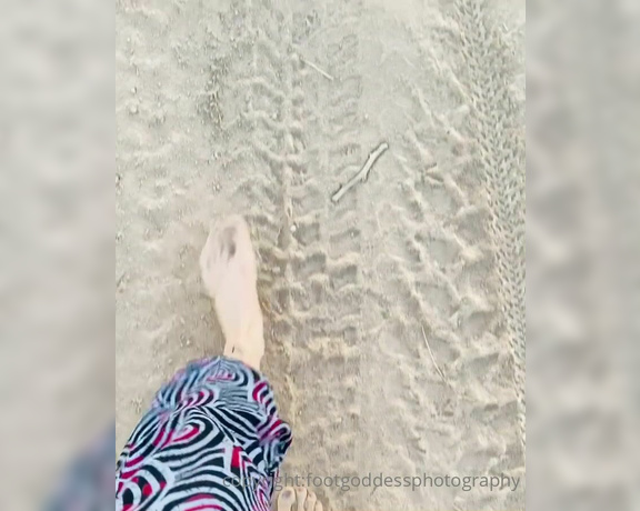 CatPrincess aka Catprincessfeet OnlyFans - Barefoot in the sand Wanna walk with me