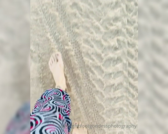 CatPrincess aka Catprincessfeet OnlyFans - Barefoot in the sand Wanna walk with me