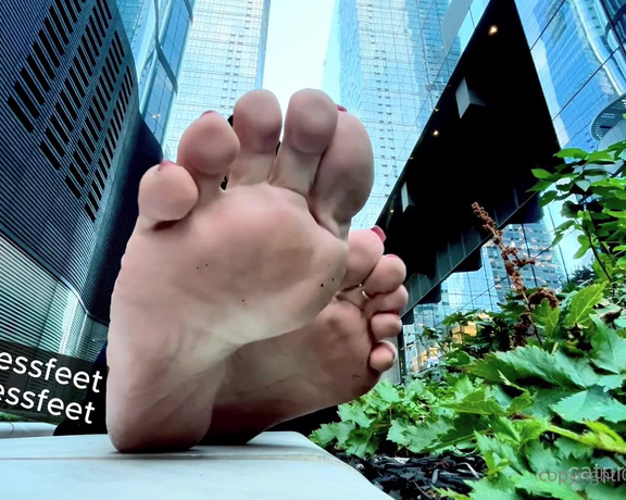 CatPrincess aka Catprincessfeet OnlyFans - Giantess between nyc skyscrapers, careful not to get squished