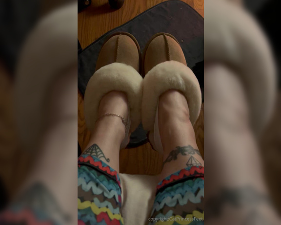 CatPrincess aka Catprincessfeet OnlyFans - Fuzzy slippers and fresh ted toes 4