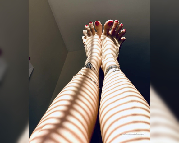 CatPrincess aka Catprincessfeet OnlyFans - Toes and soles in light and shadows 1