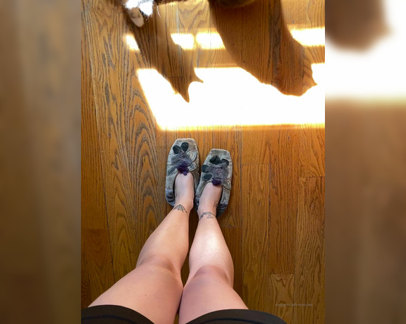 CatPrincess aka Catprincessfeet OnlyFans - Guard cats activatedLonger version