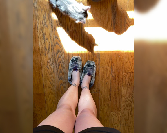 CatPrincess aka Catprincessfeet OnlyFans - Guard cats activatedLonger version