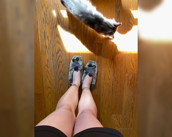 CatPrincess aka Catprincessfeet OnlyFans - Guard cats activatedLonger version