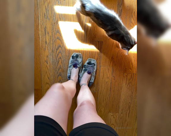 CatPrincess aka Catprincessfeet OnlyFans - Guard cats activatedLonger version