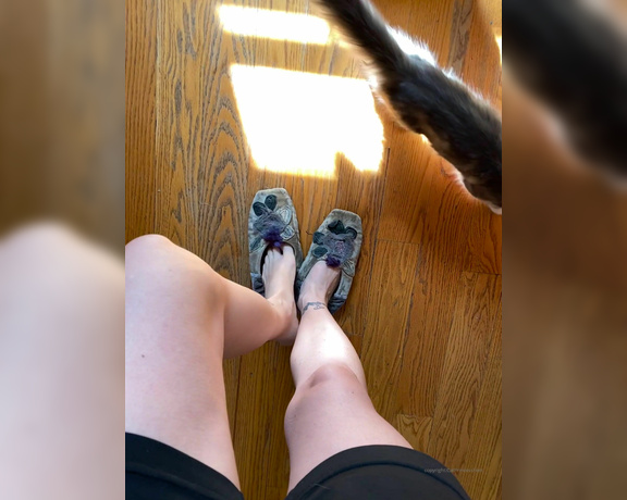 CatPrincess aka Catprincessfeet OnlyFans - Guard cats activatedLonger version