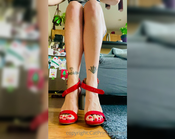 CatPrincess aka Catprincessfeet OnlyFans - Heels sexinesscuz im nice Which is ur favorite 4