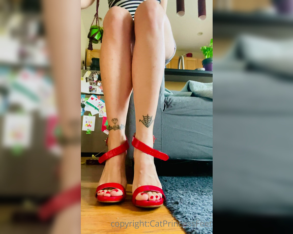 CatPrincess aka Catprincessfeet OnlyFans - Heels sexinesscuz im nice Which is ur favorite 4